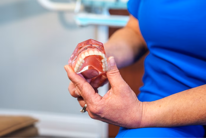 Dental implant model being examined by a gloved hand